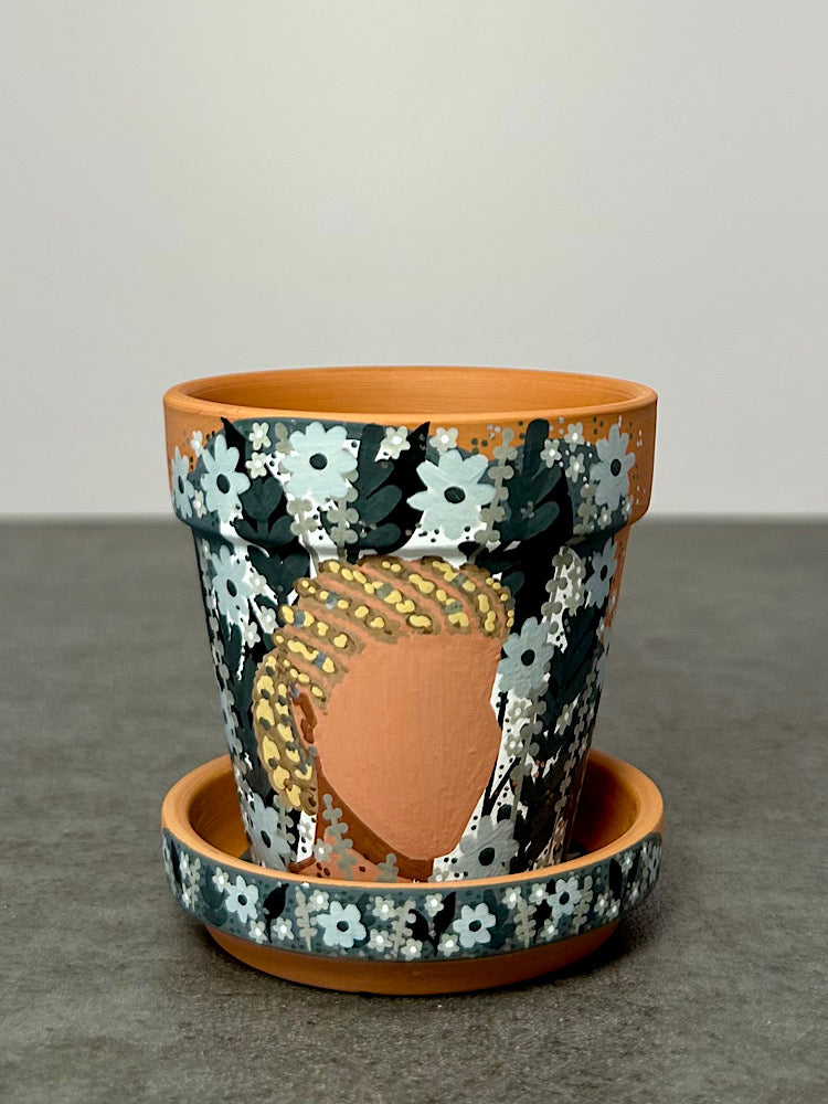 Seraphina - 2.5" Sister Pot set