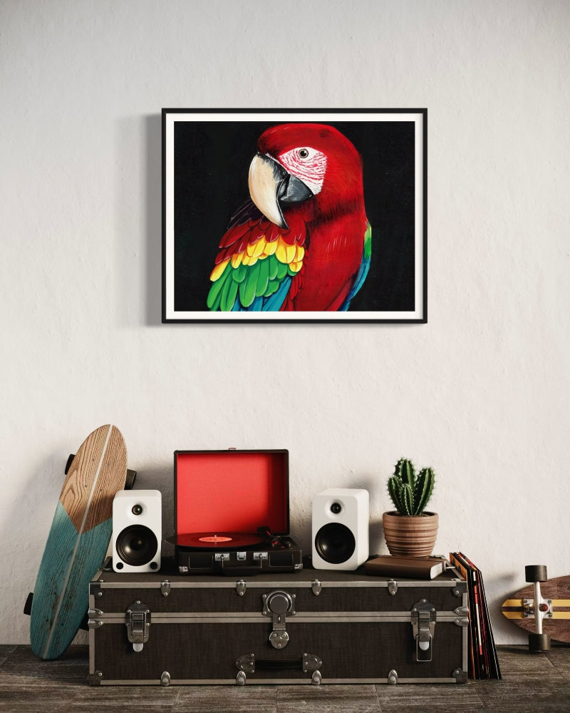 Birds of Paradise │ Headshot