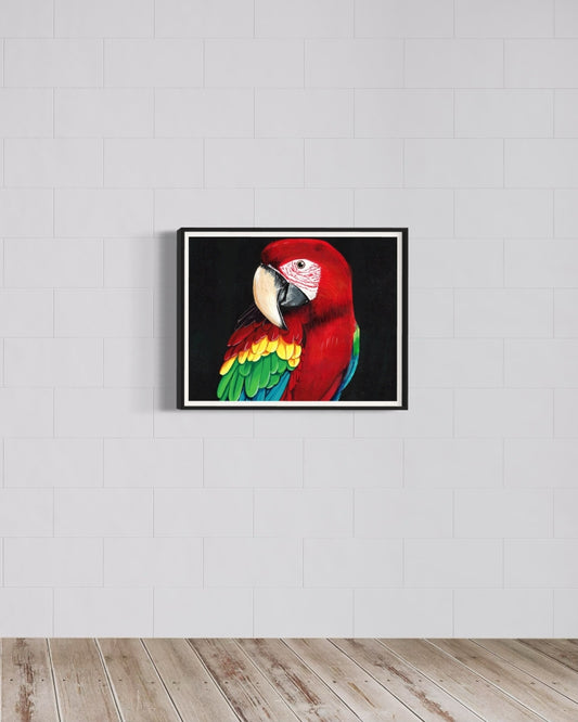 Birds of Paradise │ Headshot