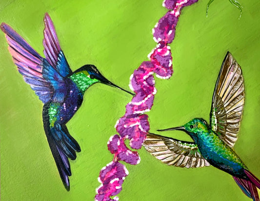Aves del Paraíso│ Encuentro Casual