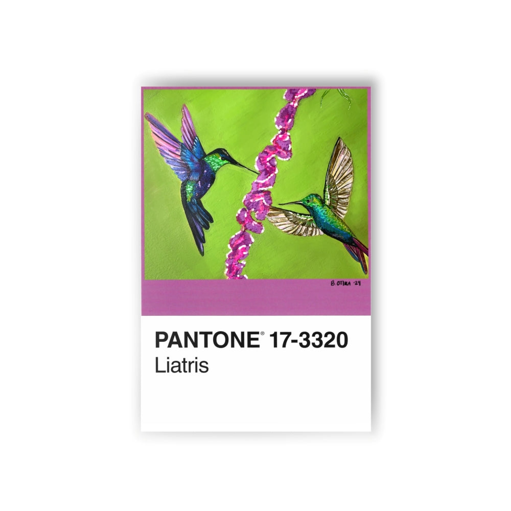 Collectible Premium Fine Art Cards