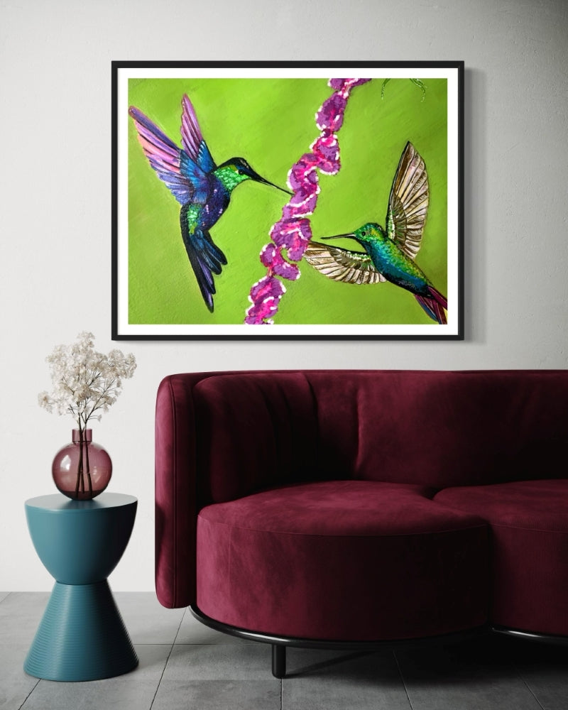 Aves del Paraíso│ Encuentro Casual
