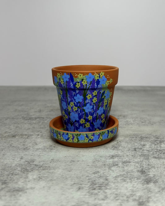 Clarity - 2.5" Sister Pot set